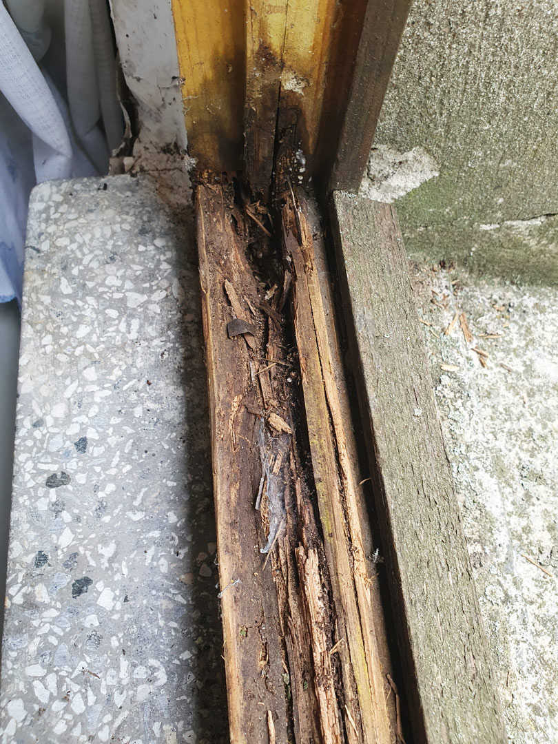 Buchwald Fenster - Türen - Rolläden - Fensteraustausch ist dringend notwendig!